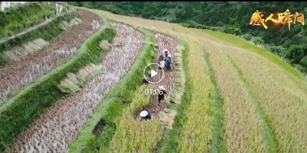 感人瞬间 |《微光星海》